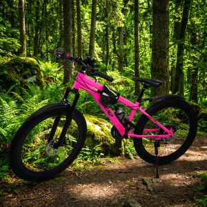BC0005 - Biciklo 26 Inch DW-18 - PINK