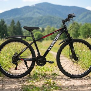 BC0012 - Biciklo W-004 29 Inch